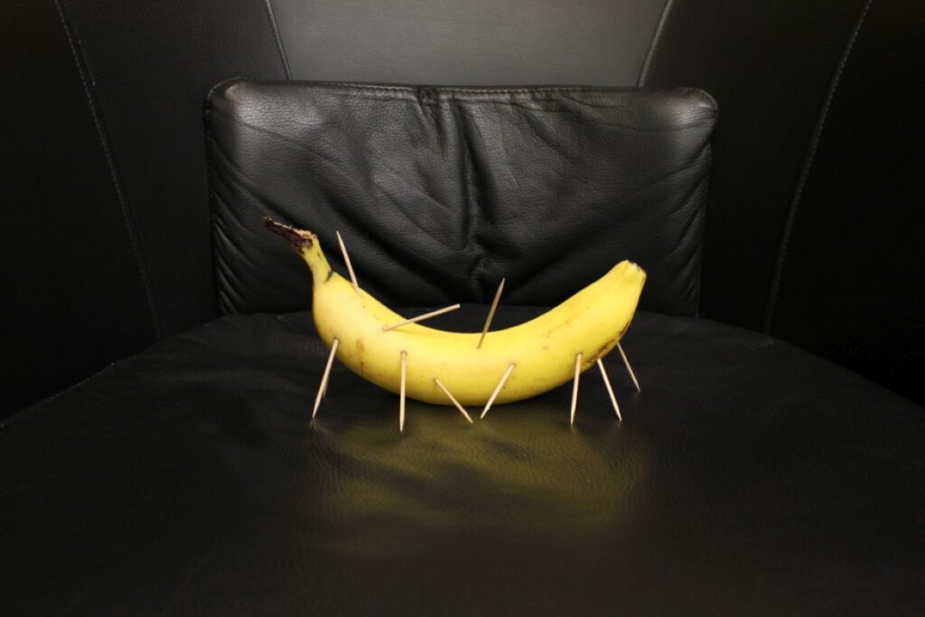 Art Against Agony - Ars Gratia Artis Series - the_banana